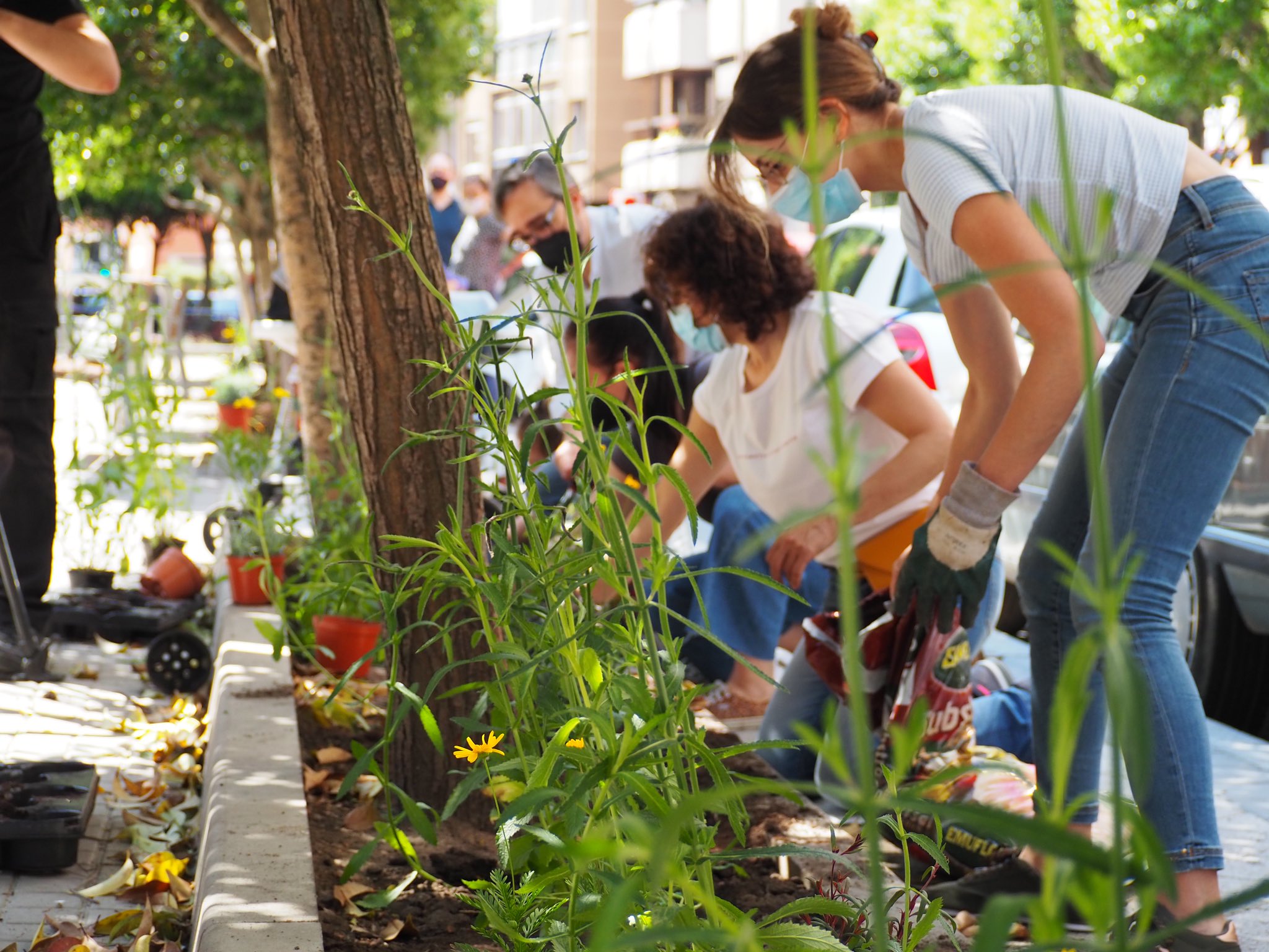 Vecinos de la calle Panaderos de Valladolid en la jornada "Apadrina un alcorque"