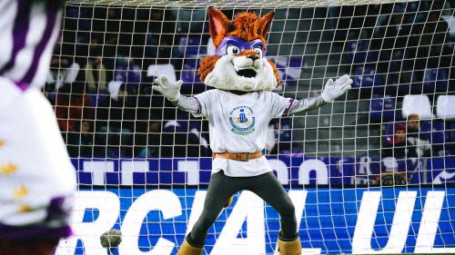 Pepe Zorrillo