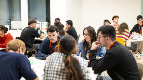Grupos de trabajo del programa TIMMIS