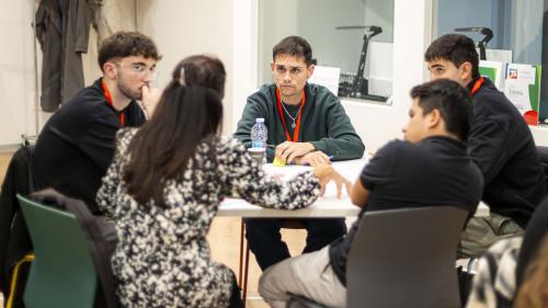 Grupos de trabajo del programa TIMMIS