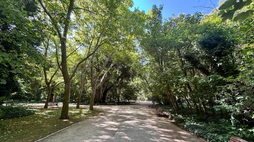 Vista del Campo Grande de Valladolid