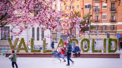 Ayudas Volvemos Valladolid