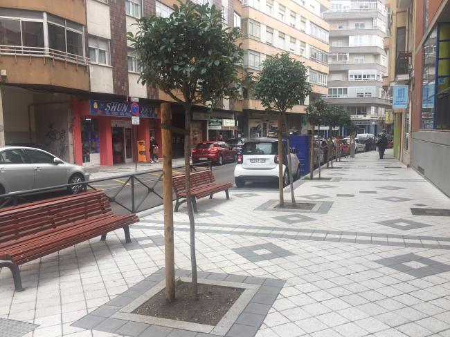 "Apadrina un alcorque". Renaturalización urbana. URBANGreen UP